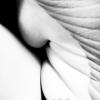 Untitled-1