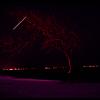 kodachrome star and tree